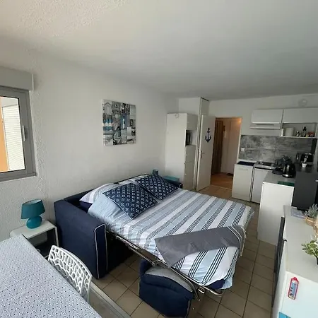 Cap D Studio , Wifi , Parking Prive , Vue Port * アグド